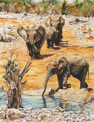 Etosha Oasis - African Elephants & Impala by Linda Parkinson